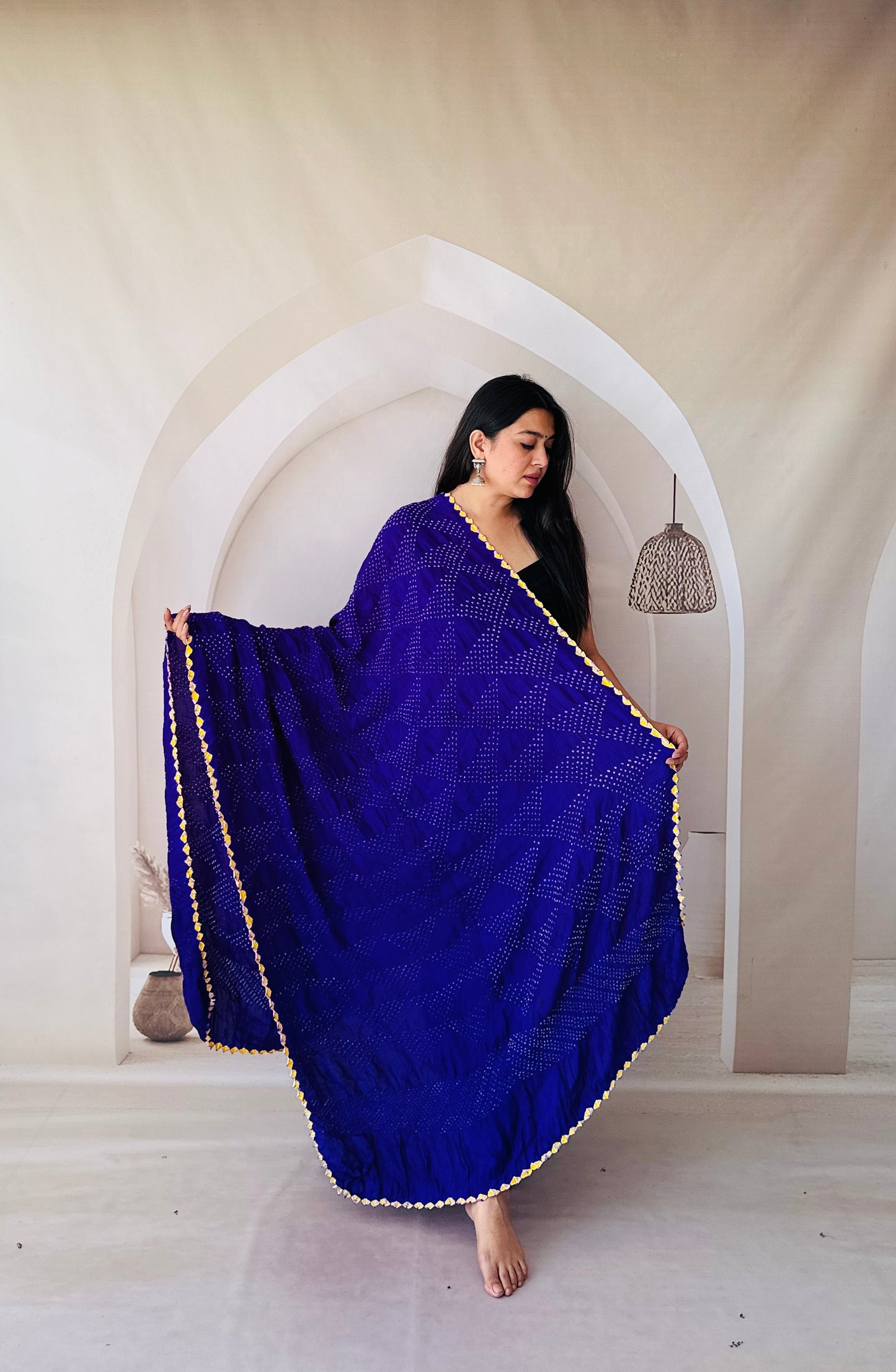 Blue Multi Colour Rai Bandhej Dupatta