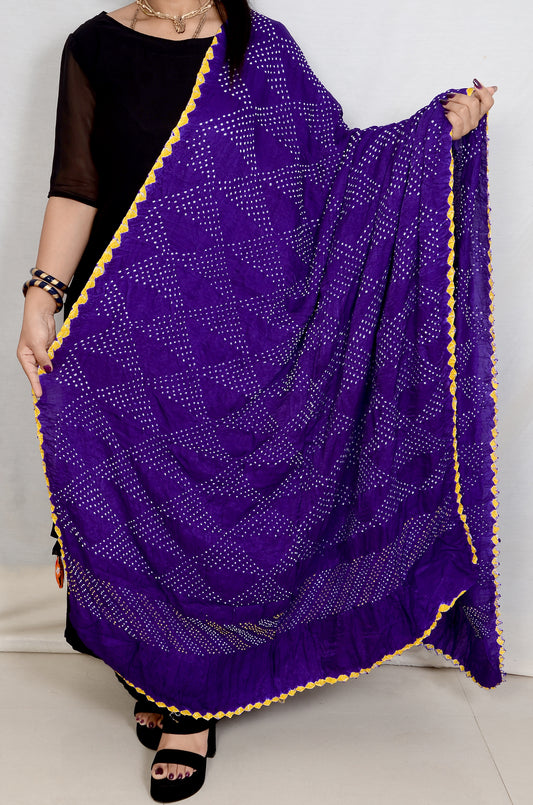 Blue Multi Colour Rai Bandhej Dupatta