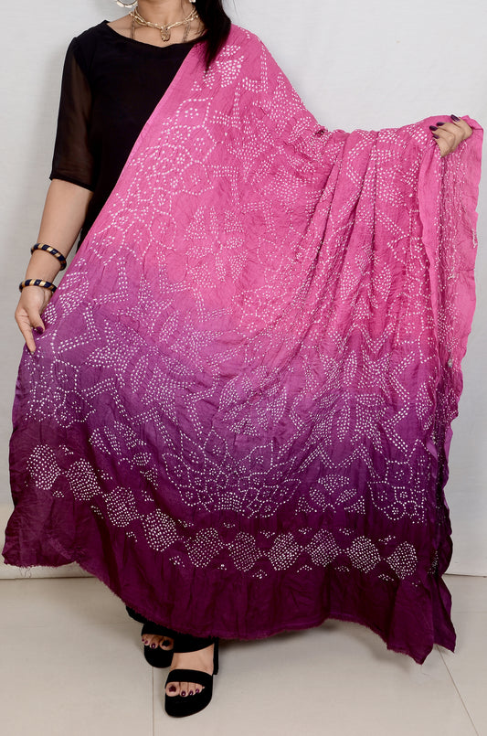 Rani and Purple rai bandhej dupatta