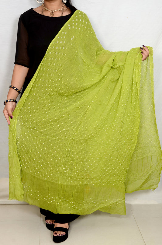 Parrot Mal Cotton Bandhani Dupatta